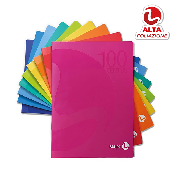 MAXI ONE COLOR MAXI fg.24+R gr.100 10MM PZ.10